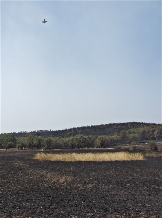 Foto de Alto Tajo (Guadalajara), España