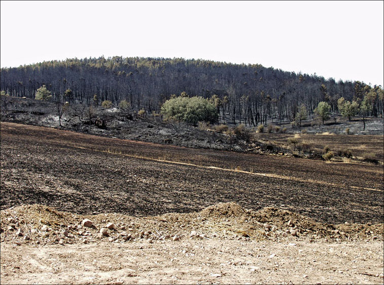 Foto de Alto Tajo (Guadalajara), España