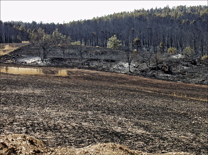 Foto de Alto Tajo (Guadalajara), España