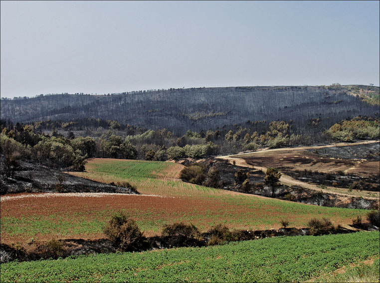 Foto de Alto Tajo (Guadalajara), España