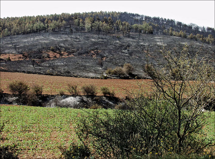 Foto de Alto Tajo (Guadalajara), España