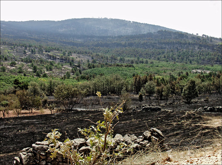 Foto de Alto Tajo (Guadalajara), España