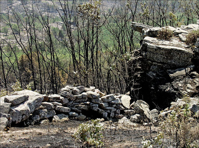 Foto de Alto Tajo (Guadalajara), España