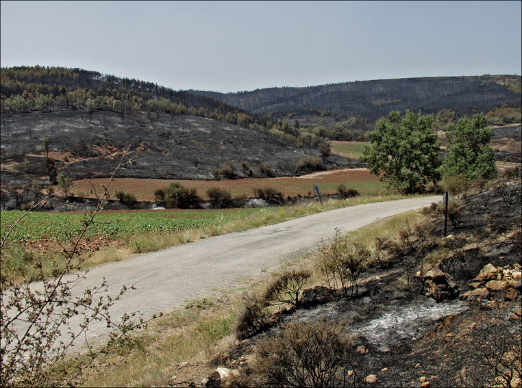 Foto de Alto Tajo (Guadalajara), España