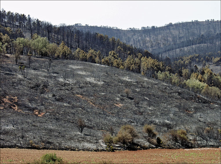 Foto de Alto Tajo (Guadalajara), España