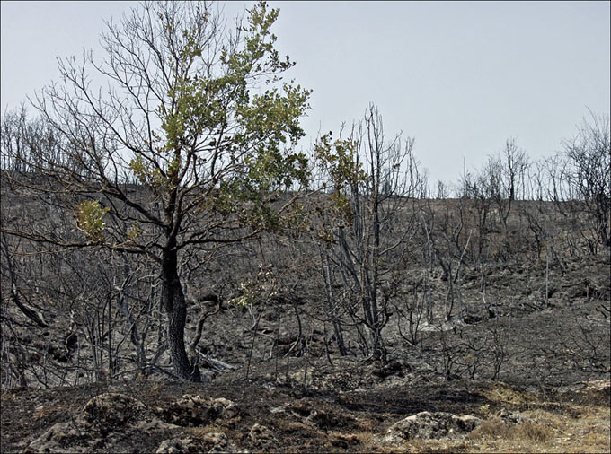 Foto de Alto Tajo (Guadalajara), España