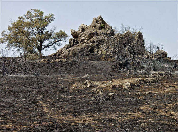Foto de Alto Tajo (Guadalajara), España