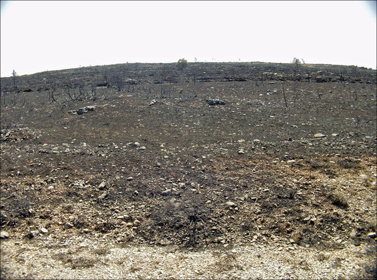 Foto de Alto Tajo (Guadalajara), España