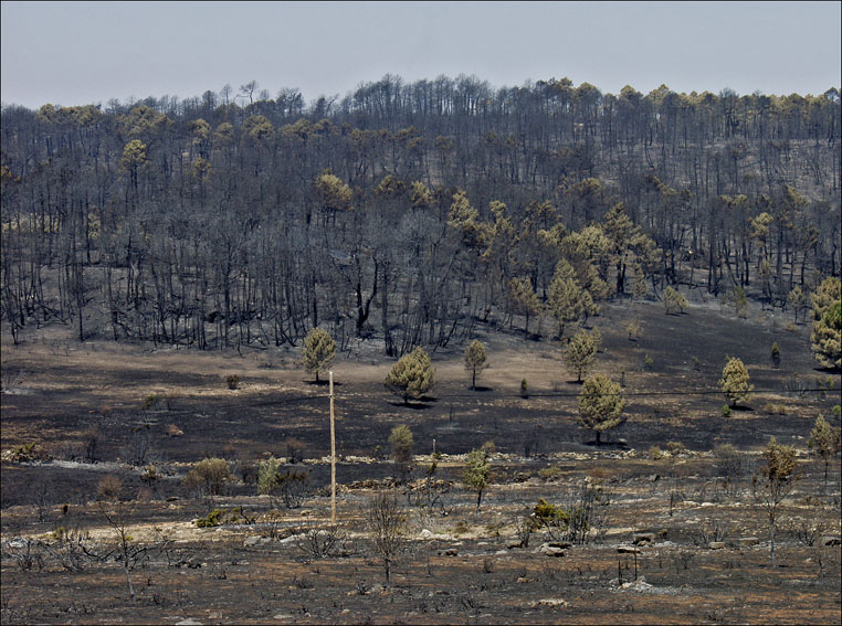 Foto de Alto Tajo (Guadalajara), España