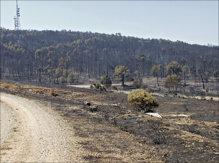 Foto de Alto Tajo (Guadalajara), España