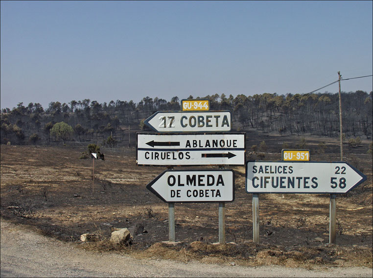 Foto de Alto Tajo (Guadalajara), España