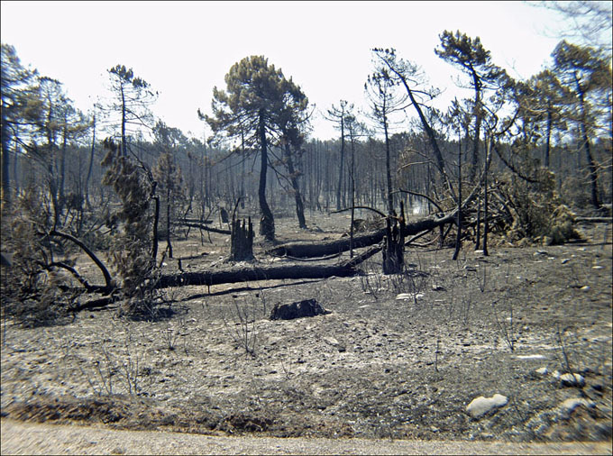 Foto de Alto Tajo (Guadalajara), España