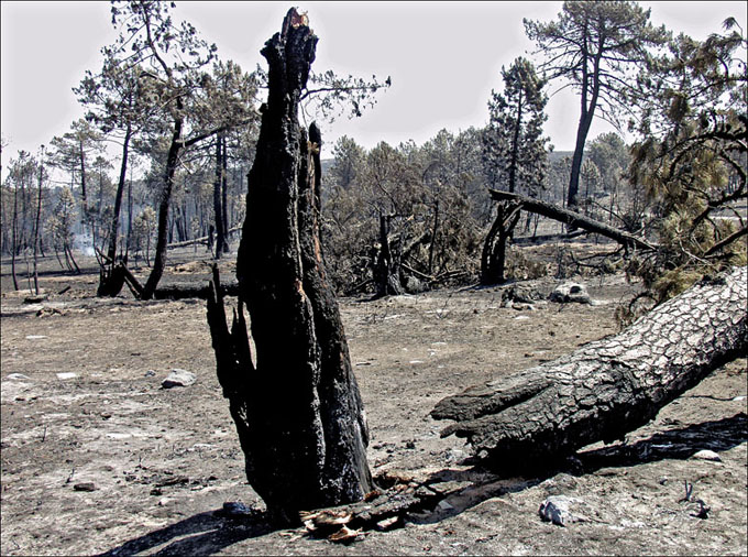 Foto de Alto Tajo (Guadalajara), España