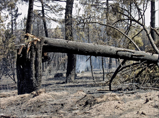 Foto de Alto Tajo (Guadalajara), España