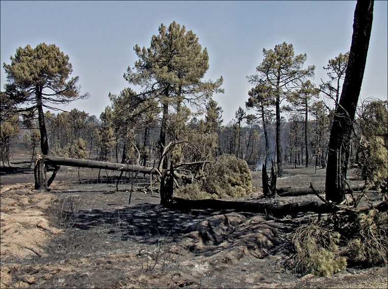Foto de Alto Tajo (Guadalajara), España