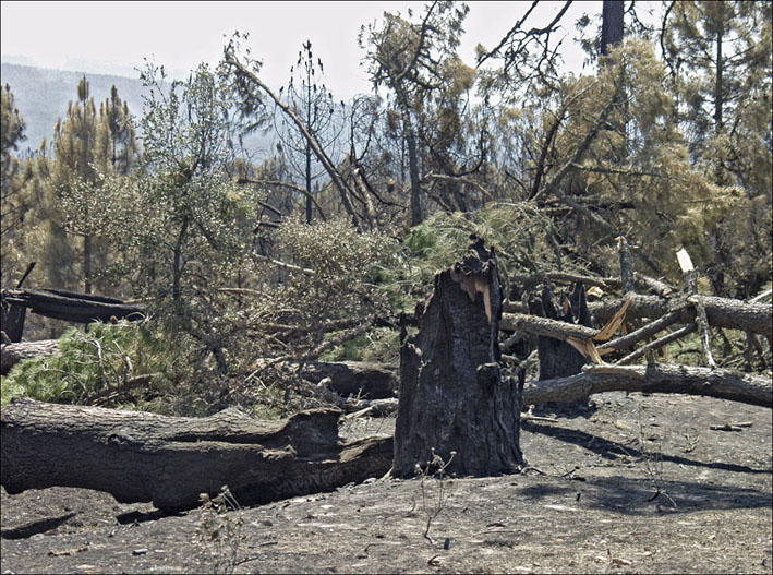 Foto de Alto Tajo (Guadalajara), España