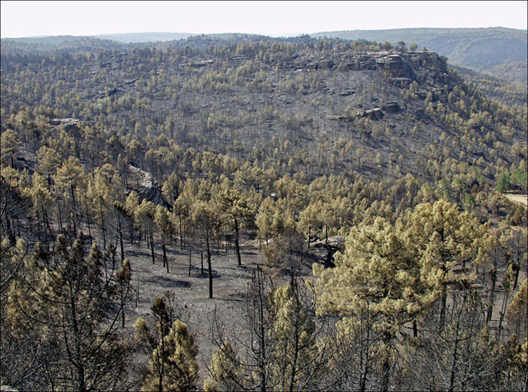 Foto de Alto Tajo (Guadalajara), España