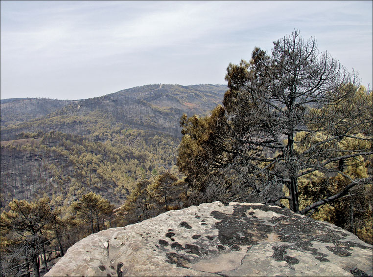 Foto de Alto Tajo (Guadalajara), España