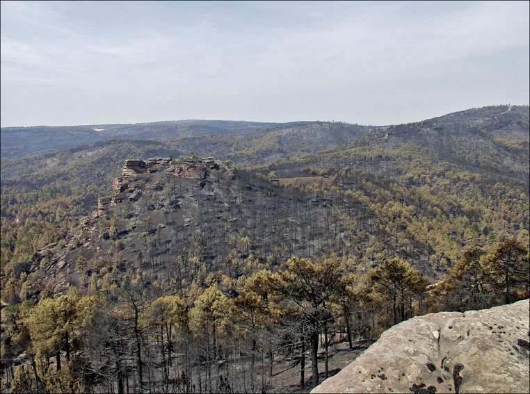 Foto de Alto Tajo (Guadalajara), España
