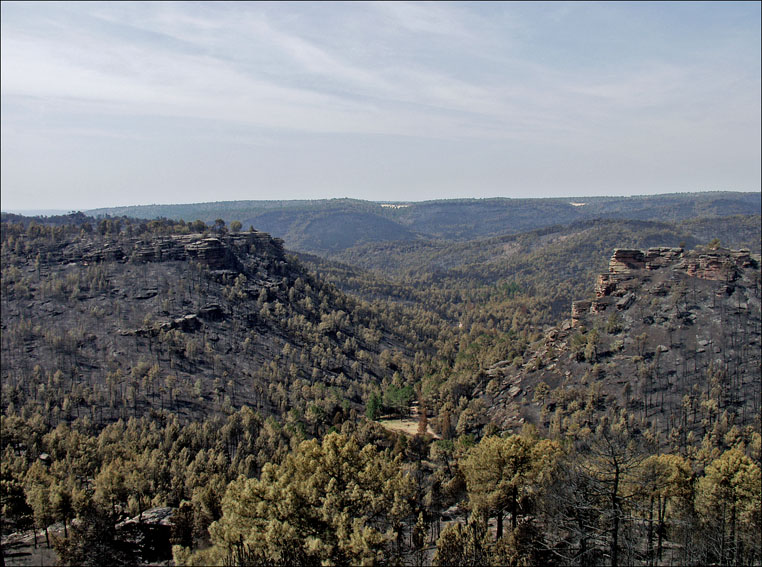 Foto de Alto Tajo (Guadalajara), España