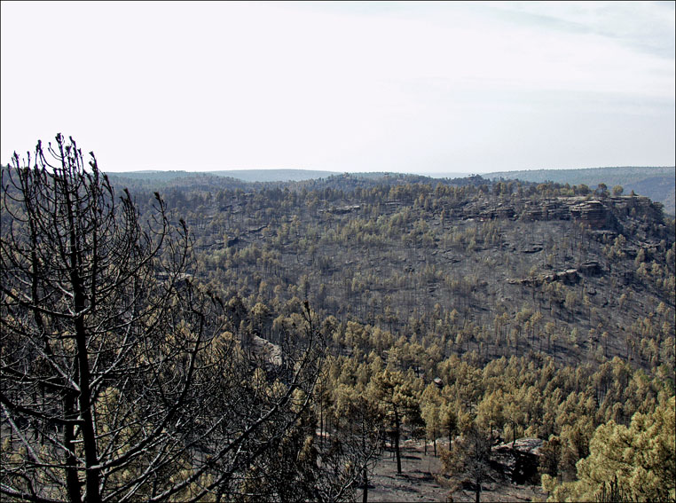 Foto de Alto Tajo (Guadalajara), España