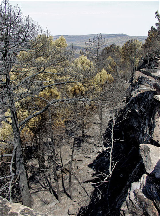 Foto de Alto Tajo (Guadalajara), España