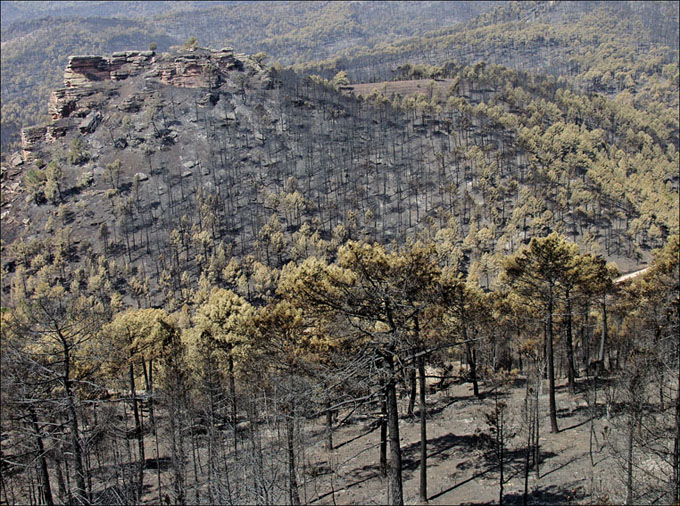 Foto de Alto Tajo (Guadalajara), España