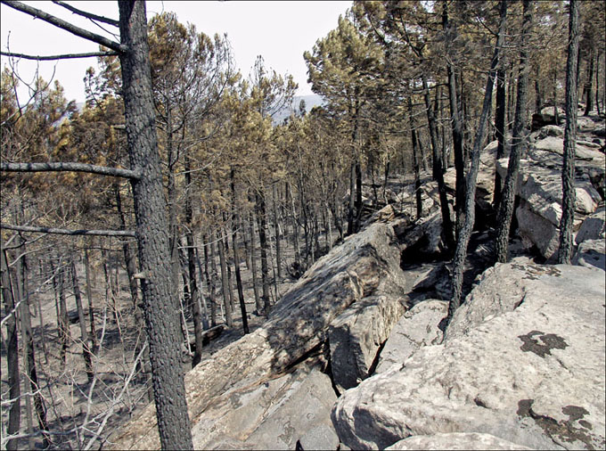 Foto de Alto Tajo (Guadalajara), España