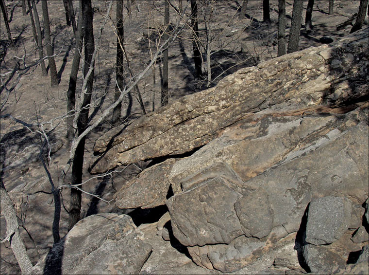 Foto de Alto Tajo (Guadalajara), España