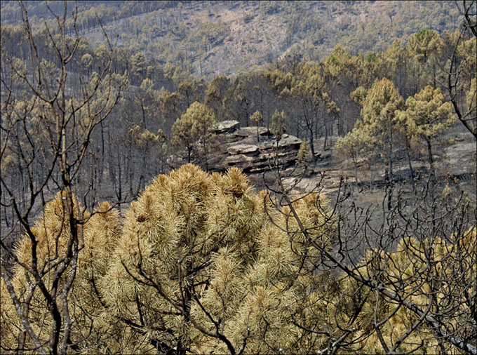 Foto de Alto Tajo (Guadalajara), España
