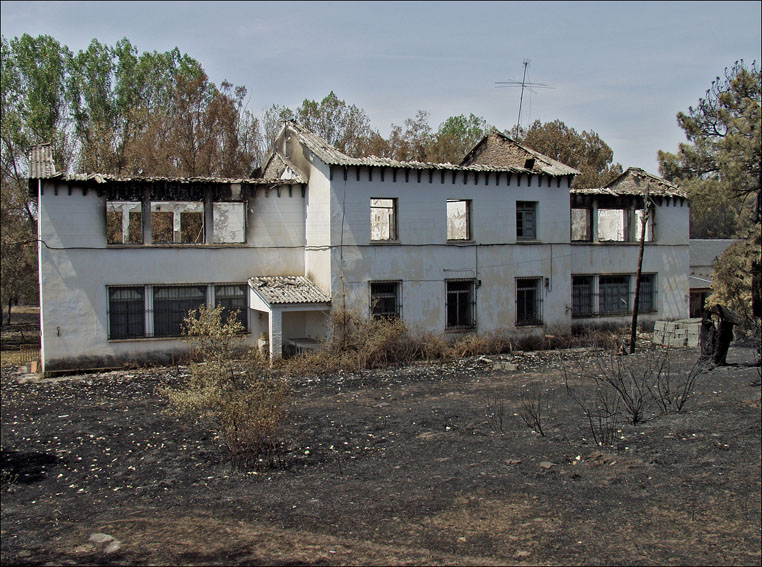 Foto de Alto Tajo (Guadalajara), España