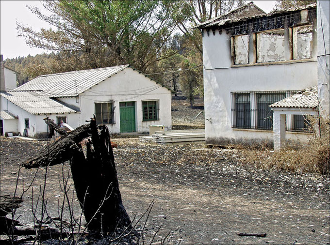 Foto de Alto Tajo (Guadalajara), España