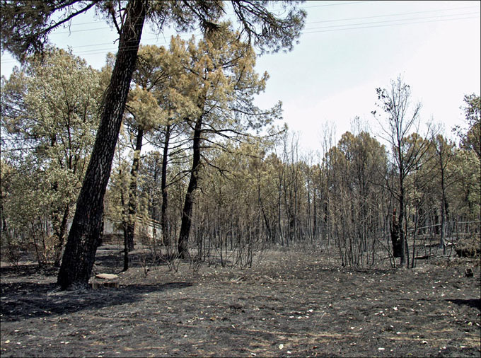 Foto de Alto Tajo (Guadalajara), España