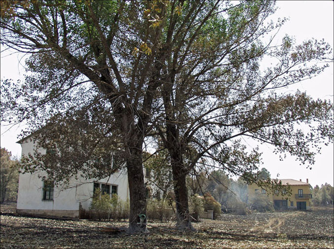 Foto de Alto Tajo (Guadalajara), España