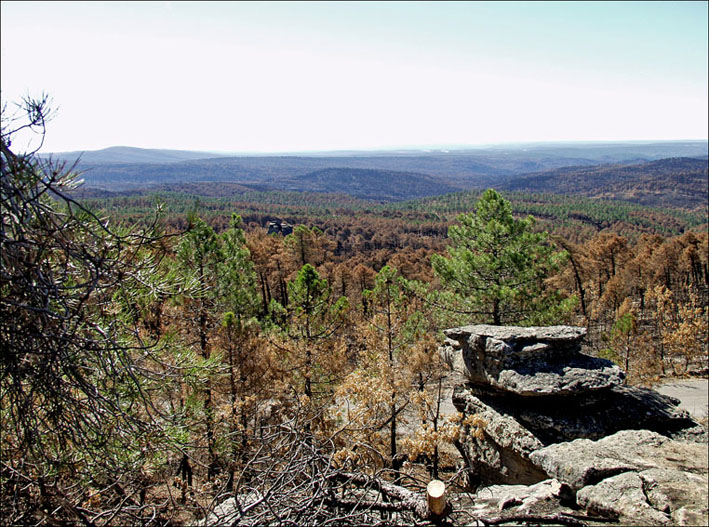 Foto de Alto Tajo (Guadalajara), España