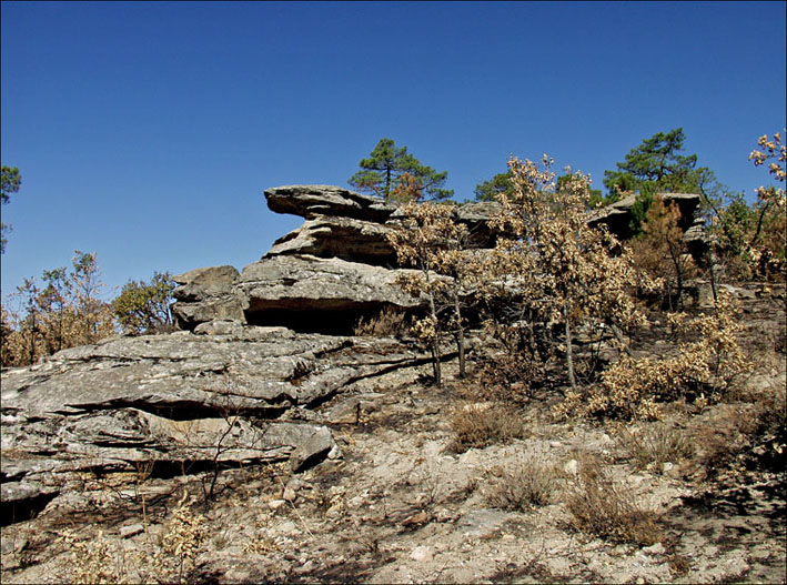 Foto de Alto Tajo (Guadalajara), España