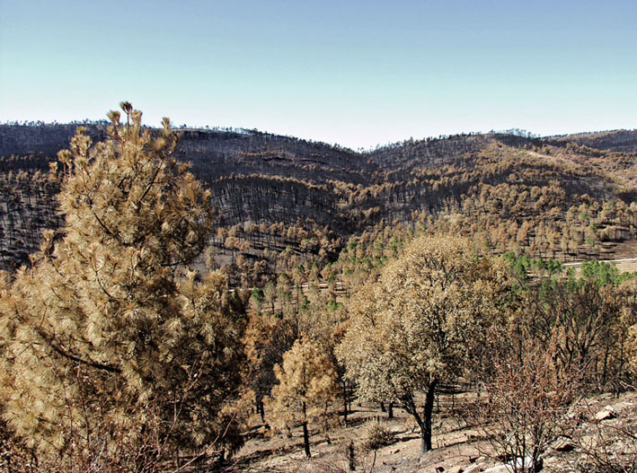 Foto de Alto Tajo (Guadalajara), España