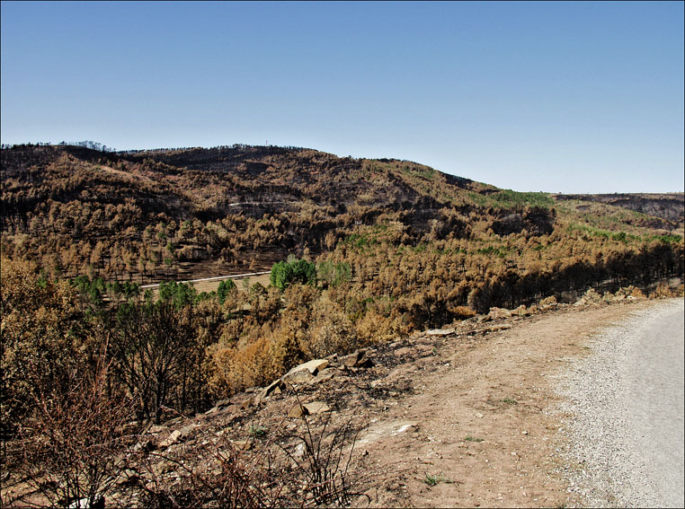 Foto de Alto Tajo (Guadalajara), España