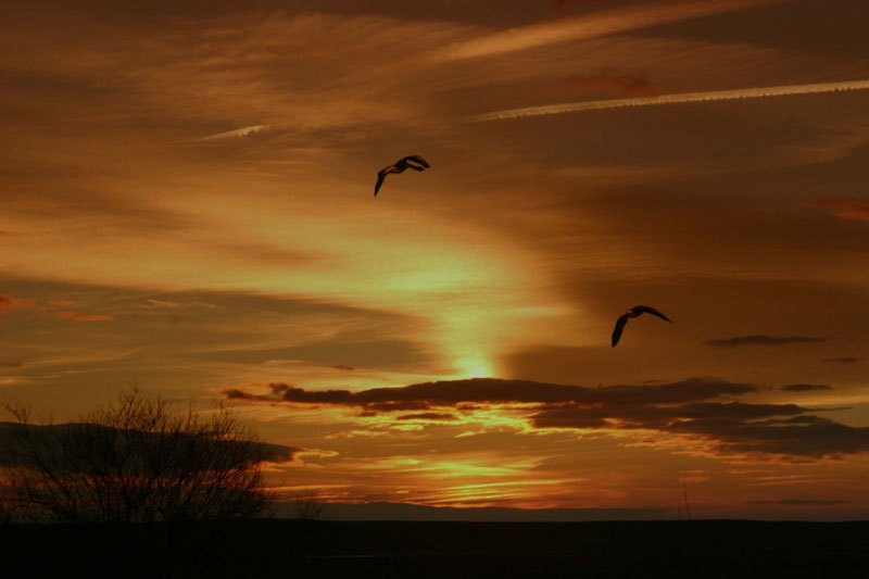 Foto de Palencia (Castilla y León), España