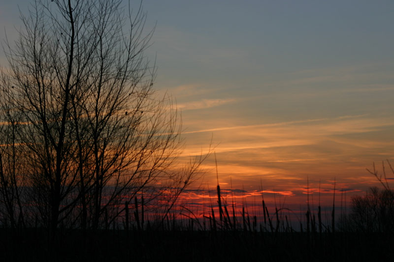 Foto de Palencia (Castilla y León), España