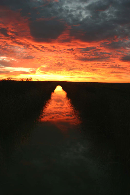 Foto de Palencia (Castilla y León), España