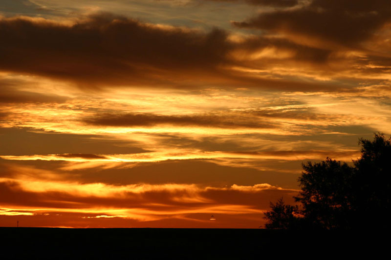 Foto de Palencia (Castilla y León), España