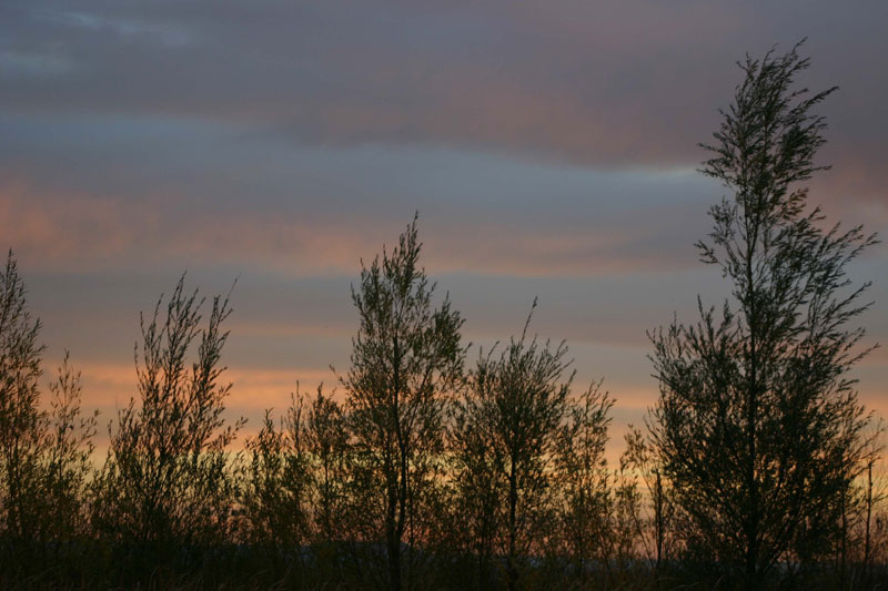 Foto de Palencia (Castilla y León), España