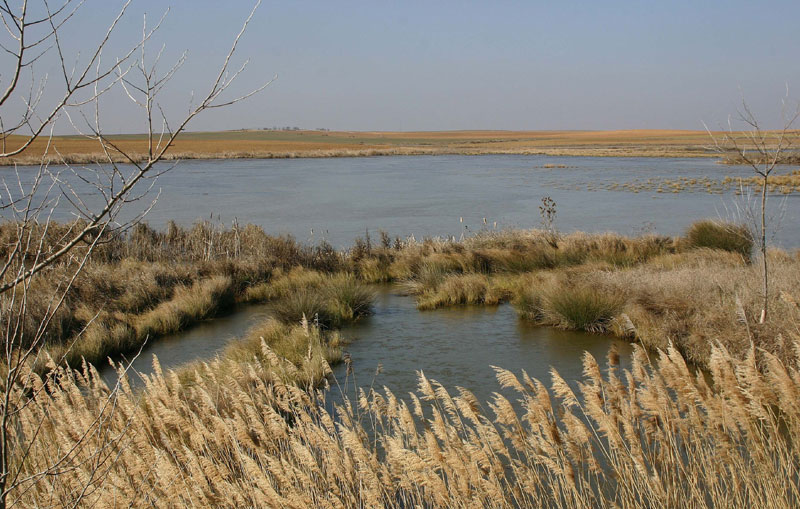 Foto de Tamariz de Campos (Valladolid), España