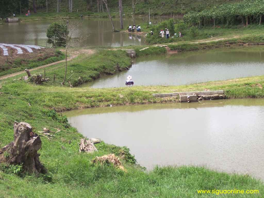 Foto de El Zapote, Honduras