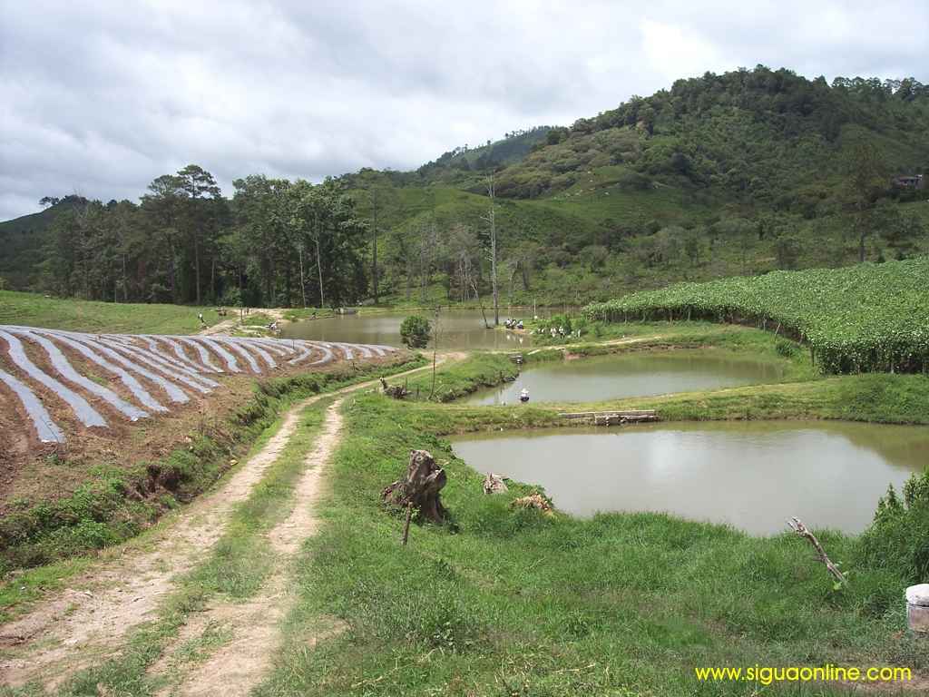 Foto de El Zapote, Honduras