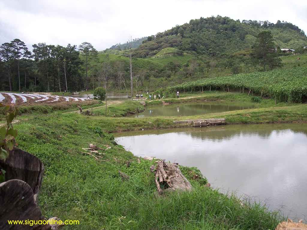 Foto de El Zapote, Honduras