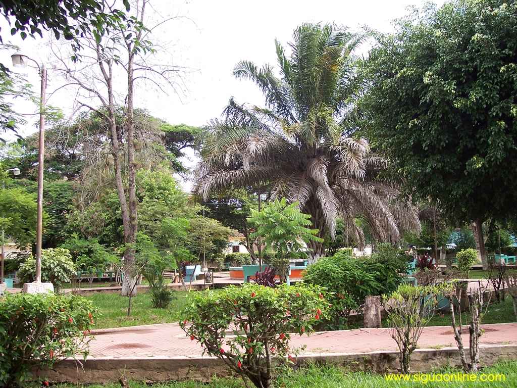 Foto de Campamento Olancho, Honduras