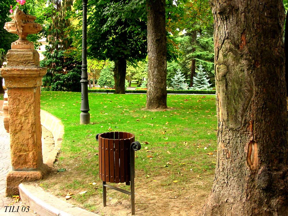 Foto de Oviedo (Asturias), España