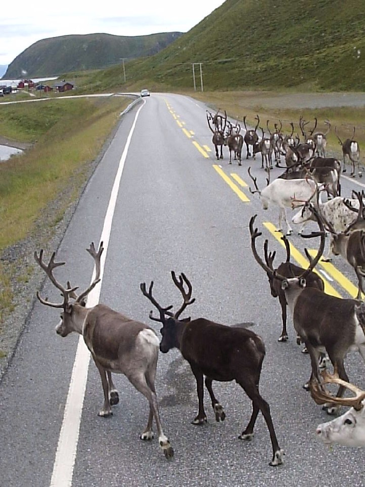 Foto de isla de Mageroya, Noruega